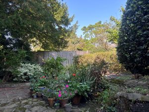 Garden- click for photo gallery
